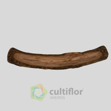 Decorative tree trunk natural wood