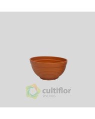 Taça Misa 23cm
