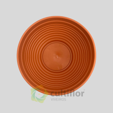 Taça Misa 23cm