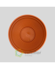 Taça Misa 23cm