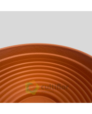 Taça Misa 23cm