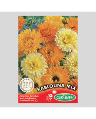 Calendula officinalis "Kablouna Mix" - Sementes