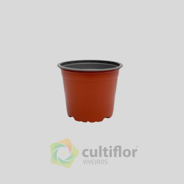 Vaso VCG 12
