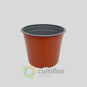 Vaso VCG 19