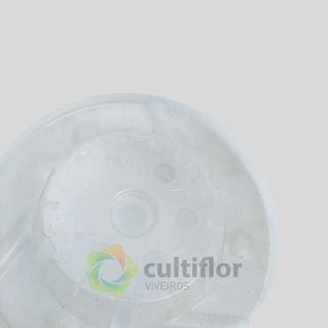 Vaso transparente MCO 15cm