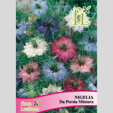 Persian Nigella - Seeds