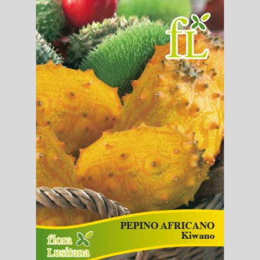 African Cucumber "Kiwano" - Cucumis metuliferus - Seeds