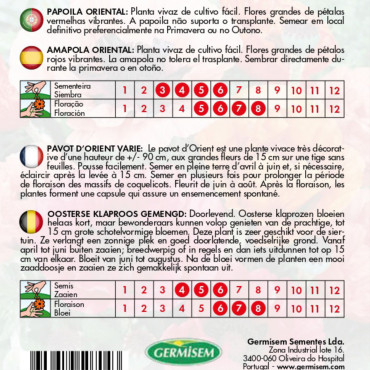 Poppy "Oriental Mix" - Seeds