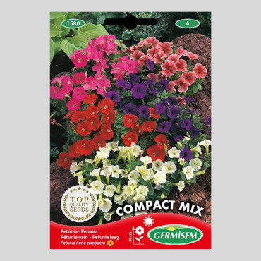 Compact Petunia - Seeds