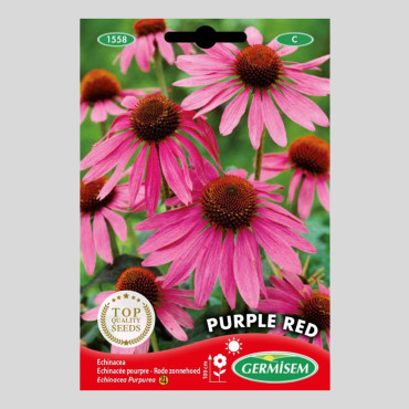 Echinacea purpurea "Purple Red" - Seeds