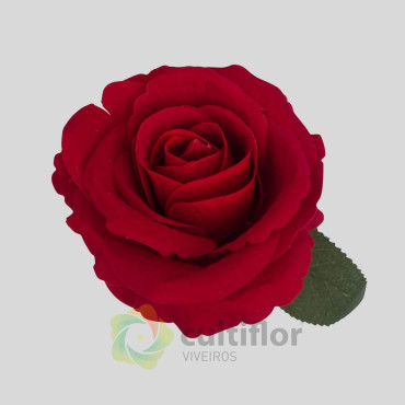 Tallo de Rosa Artificial Tallo de Rosa Artificial