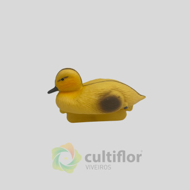 Pato flotante Pato flotante