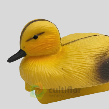 Pato flotante Pato flotante