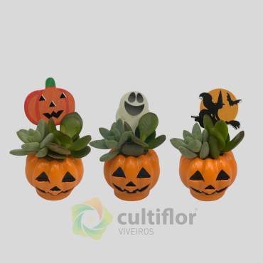 Suculentas de Halloween Suculentas de Halloween