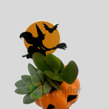 Suculentas de Halloween Suculentas de Halloween