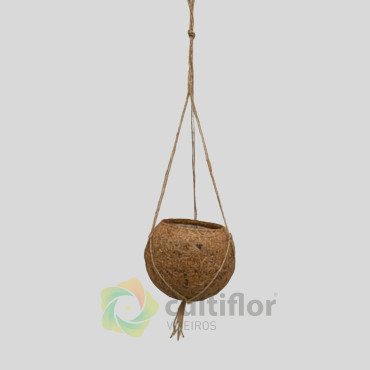 Kokedama Pot